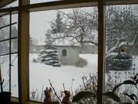 IMGP0933.webp
