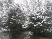 Garten09 006.webp