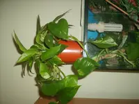 S5001457.webp
