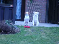 RIMG0064.webp