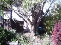 PIC00102.webp