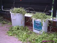 PIC00220.webp