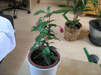 IMG_1405 1.webp