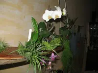 IMG_7397_1280x960.webp