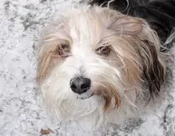 frida_schnee.webp