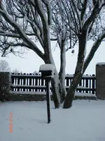 CIMG0463.webp