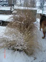 CIMG0465.webp