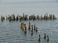 k-P1030026.webp
