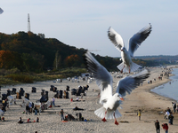 k-P1030037.webp