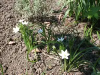 Garten0-2008-27.webp