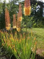 Garten 06-4 010.webp