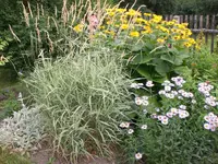 Garten 06-5 062.webp