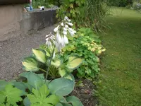 Garten 06-5 085.webp