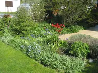 Frühling an der Terrasse.webp