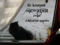 eule1.webp