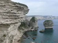 k-P1000434.webp
