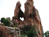 k-P1000532.webp