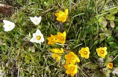 P1030220.webp