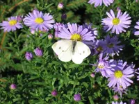 Bild 9.webp