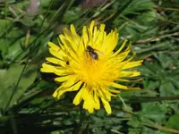 Bild 14.webp