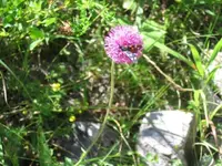 Bild 17.webp