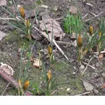 neu 015.webp