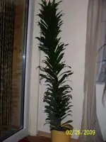 100_0769.webp