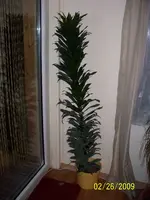 100_0768.webp
