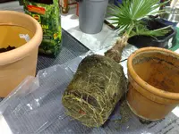 260220091419.webp