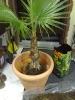 260220091423.webp