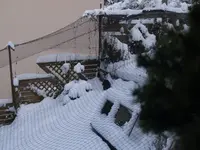 P1051516.webp