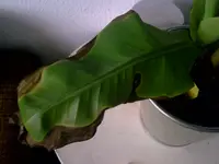 PIC00530.webp