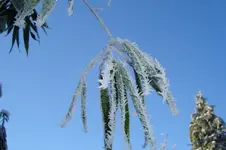 DSC02610.webp