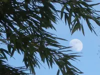 DSC02870(3).webp