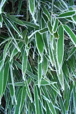 DSC02604.webp