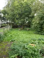 PA031273.webp