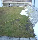 Garten 3.webp