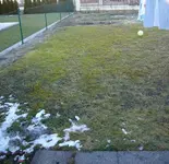 Garten 4.webp