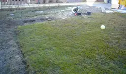 Garten 5.webp