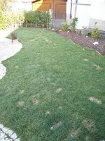 IMG_2063.webp