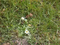 DSCN5567.webp