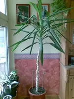 Bild012 (2).webp