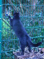 RIMG0063.webp