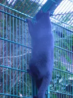 RIMG0065.webp