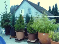 Balkonsichtschutz.webp