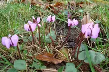 DSC03282.webp