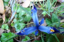 DSC03289.webp