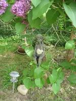 Garten 20.5.008 zapfstelle und Iga's Elfe 007.webp