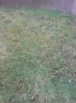 DSC00087.webp