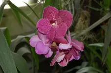 Bild 8.webp